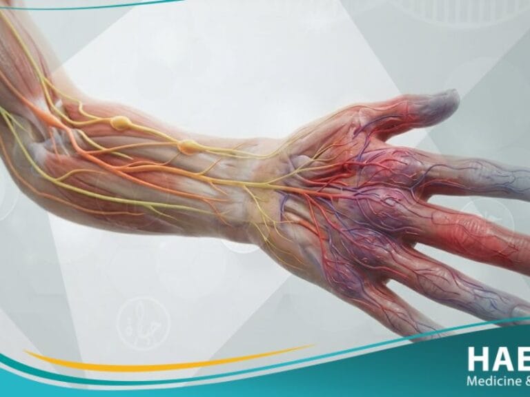 الحثل الانعكاسي الودي