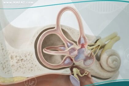 الدوار الانتيابي الحميد لدى الأطفال