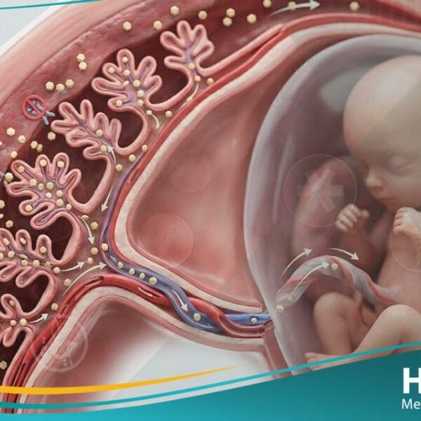 السكري الحملي