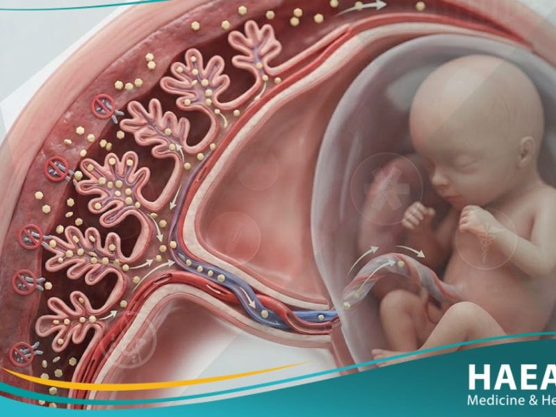 السكري الحملي