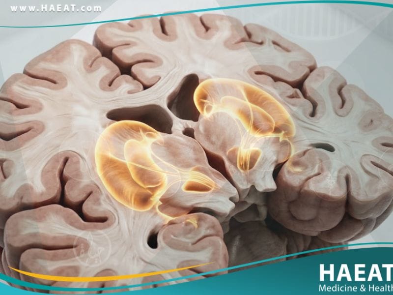 الكنع الرقصي