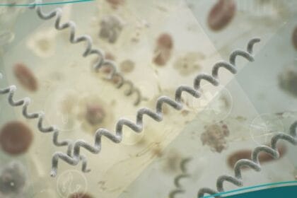 الملتويات (1)