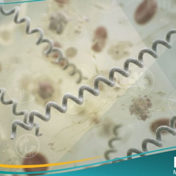 الملتويات (1)