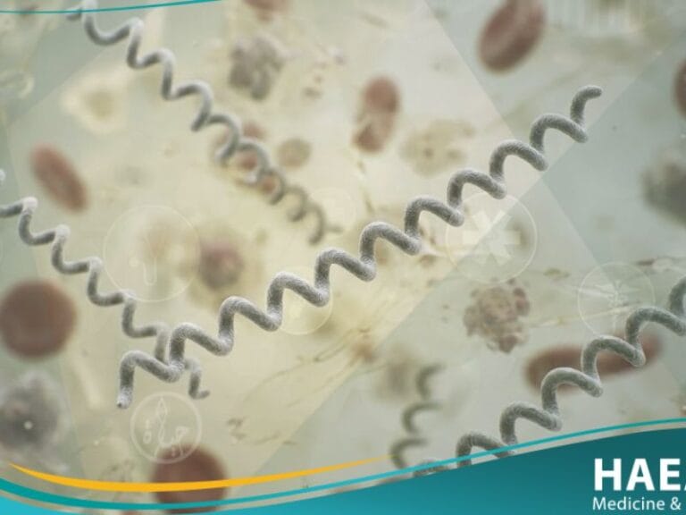 الملتويات (1)