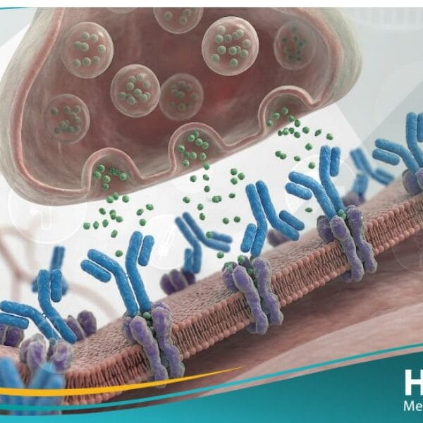 الوهن العضلي الوبيل