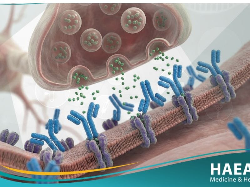 الوهن العضلي الوبيل