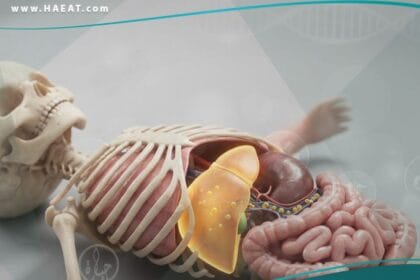 اليرقان عند حديثي الولادة