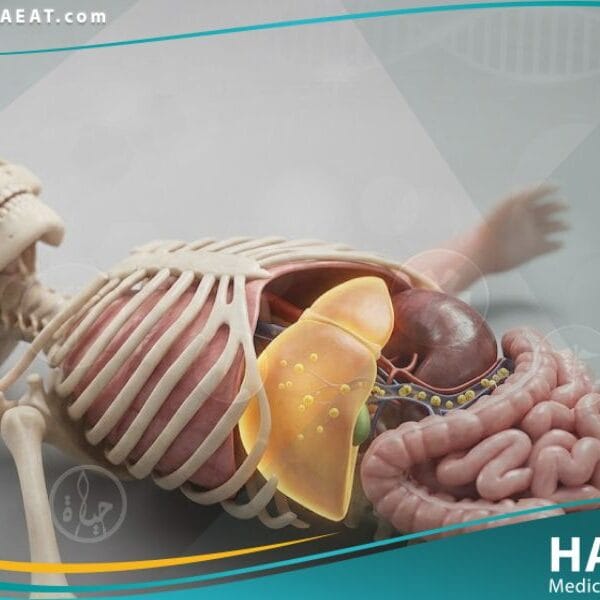 اليرقان عند حديثي الولادة