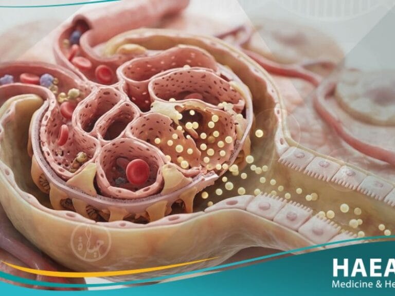 _بيلة بروتينية