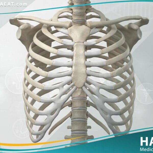 تشوهات خلقية في جدار الصدر