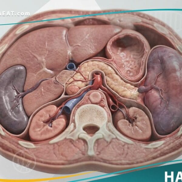 تضخم الطحال