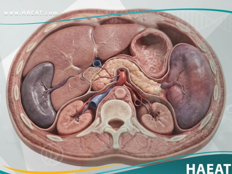 تضخم الطحال