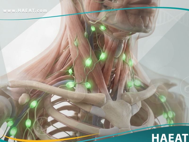 تضخم العقد اللمفية