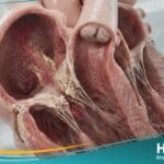 تضيق الثلاثي الشرف