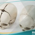 _تعظم الدروز الباكر