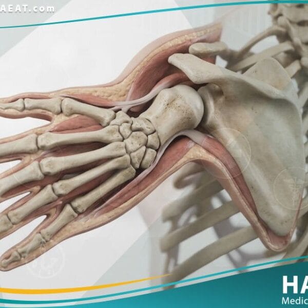 تفقم الأطراف