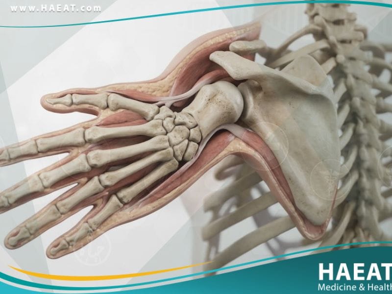 تفقم الأطراف