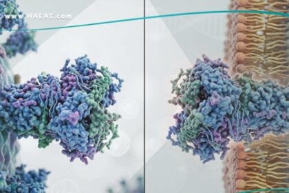 تمويه جزيئي