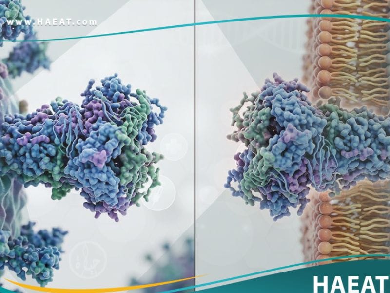 تمويه جزيئي