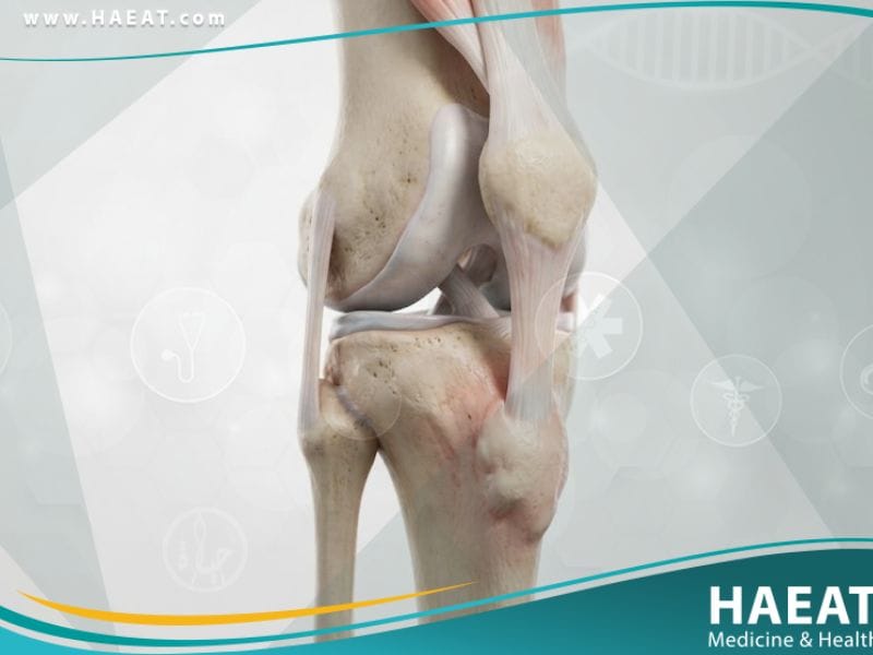 داء أوزغـود - شلاتـر