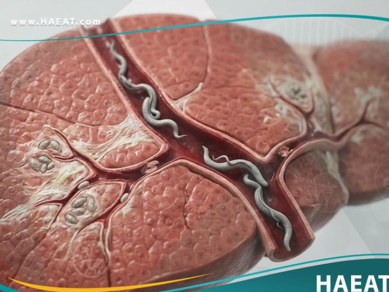 _داء البلهارسيات