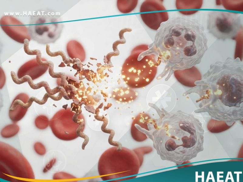 ردة فعل جاريش هركسايمر