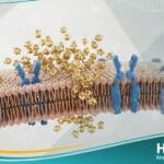 سكري من النمط 2