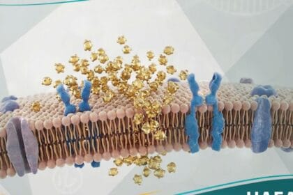 سكري من النمط 2