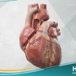 شذوذات خلقية في الشرايين التاجية