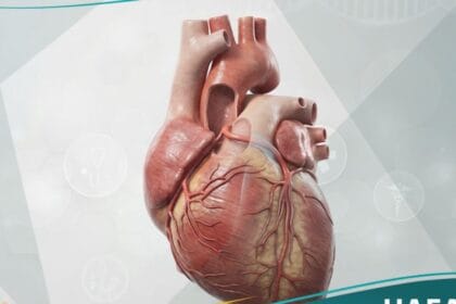 شذوذات خلقية في الشرايين التاجية