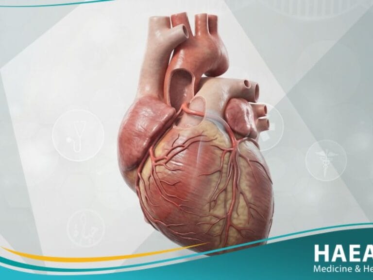 شذوذات خلقية في الشرايين التاجية