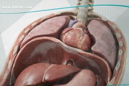 _شلل الحجاب الحاجز