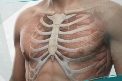 صدر جؤجؤي (1)