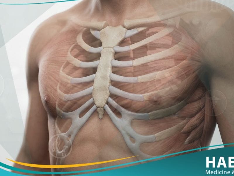 صدر جؤجؤي (1)