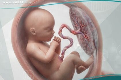 ضائقة جنينية