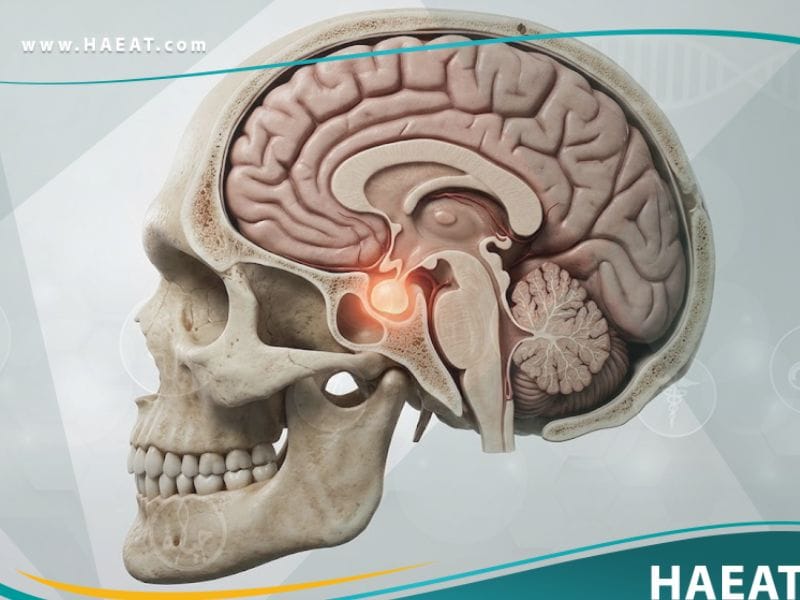 ضخامة النهايات