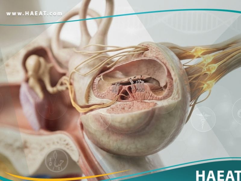 فقدان السمع في الأذن الباطنة