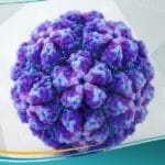 فيروس HPV