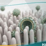 فيروس الروتا