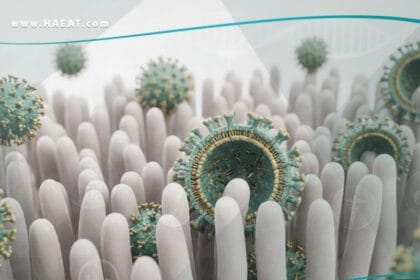 فيروس الروتا