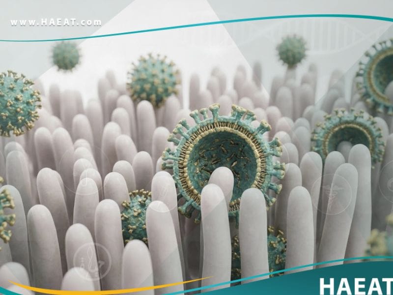 فيروس الروتا