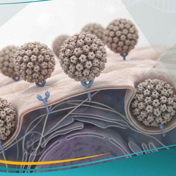 _فيروس الورم الحليمي البشري