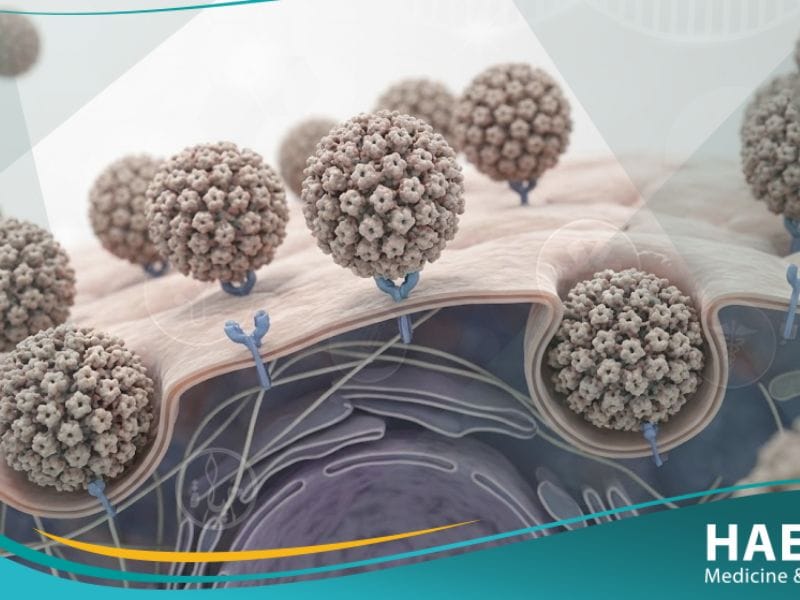 _فيروس الورم الحليمي البشري