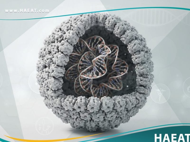 فيروس بيكورنا