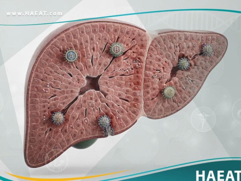 فيروسات التهاب الكبد