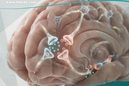 قصور الانتباه وفرط الحركة