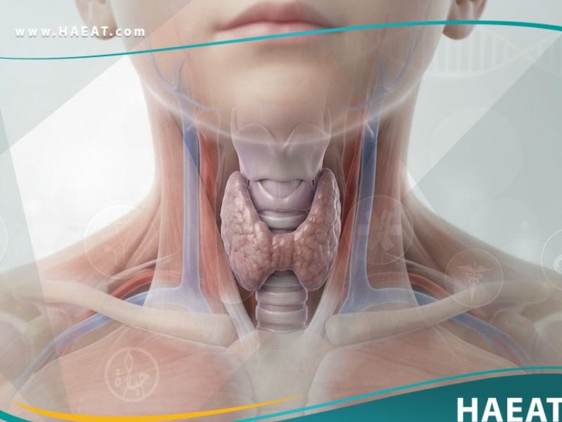 قصور الغدة الدرقية عند الأطفال