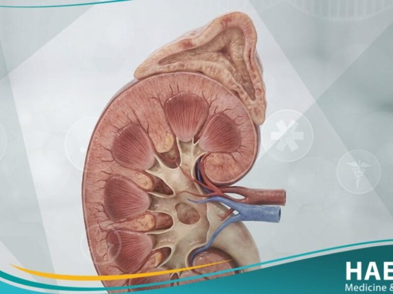 قصور الغدة الكظرية (1)