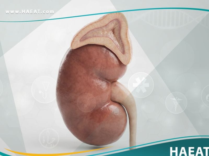 قصور الغدة الكظرية