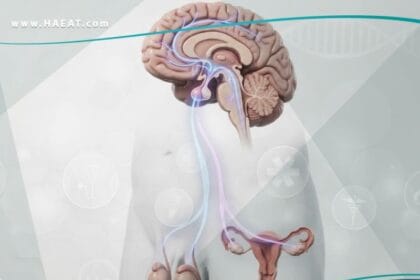 قصور الغدد التناسلية